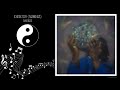 17. Spiral/Disco (outro) (528hz)