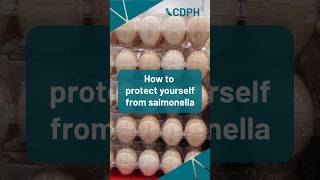 Keep Your Eggs Safe From Salmonella
