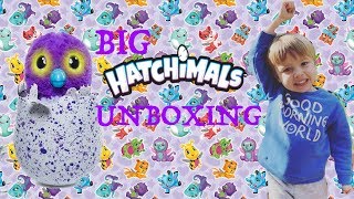 Unboxing Mystery Box Of Hatchimals For Fuller House Twins