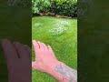Garden maintenance in Manchester bank holiday Monday 🤗🌻🌞#pauldoherty #gardenmaintenance