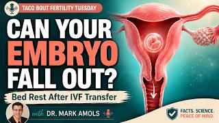 Can Your Embryo Fall Out? IVF Bed Rest After Embryo Transfer
