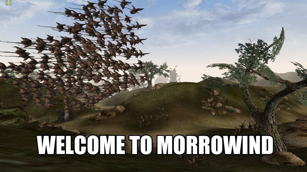Было замечено в конце. Скальный наездник морровинд. Добро пожаловать в морровинд. Скальный наездник Мем. Морровинд птицы.