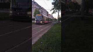 Mávnutí od 15T. #tram
