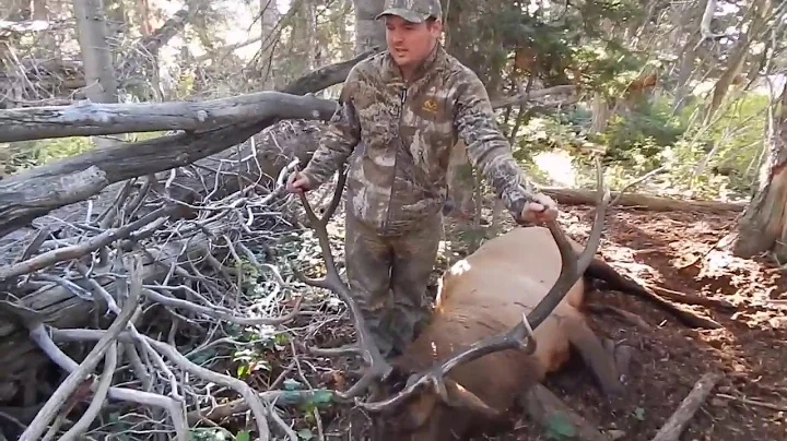 2017 Muzzleloader Elk Hunt