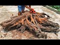Amazing Extremely Creative Woodworking You've Never Seen Discarded Wood Stumps // Art Outdoor Table