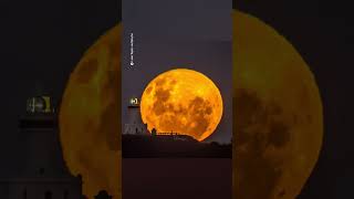 Photographer captures timelapse of 'Flower Moon' rising over Byron Bay