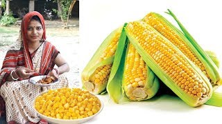 Special New Breakfast Recipes 2019 in Hindi | New Snacks Recipes Indian |
