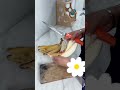 Ngamanian wadah samara anu bulukan, tuluy sore na di ajak ulin ku tatanga😁 #nitabarokah #vlogsunda