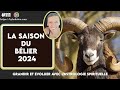 La saison du blier 2024  astrologie spirituelle  un nouveau dpart