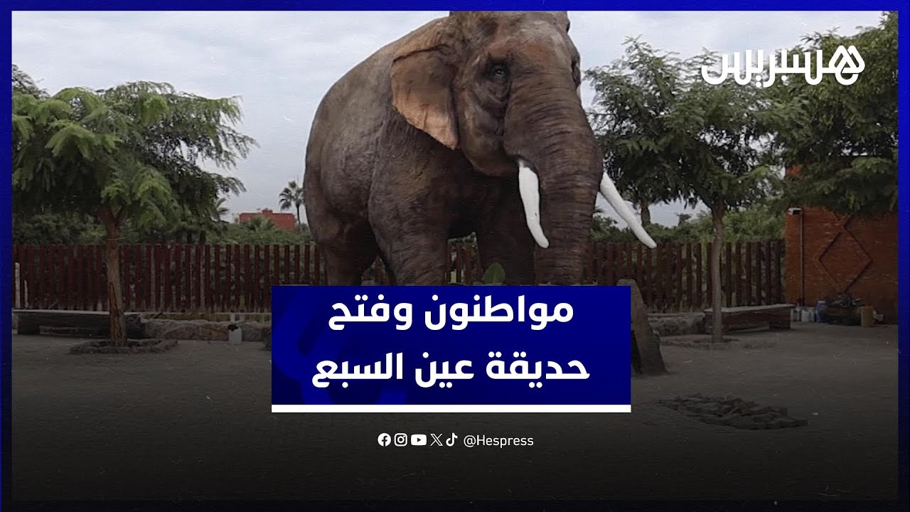 بعد جلب الحيوانات.. مطالب بتحديد أسعار دخول حديقة عين السبع والإعلان عن موعد افتتاحها