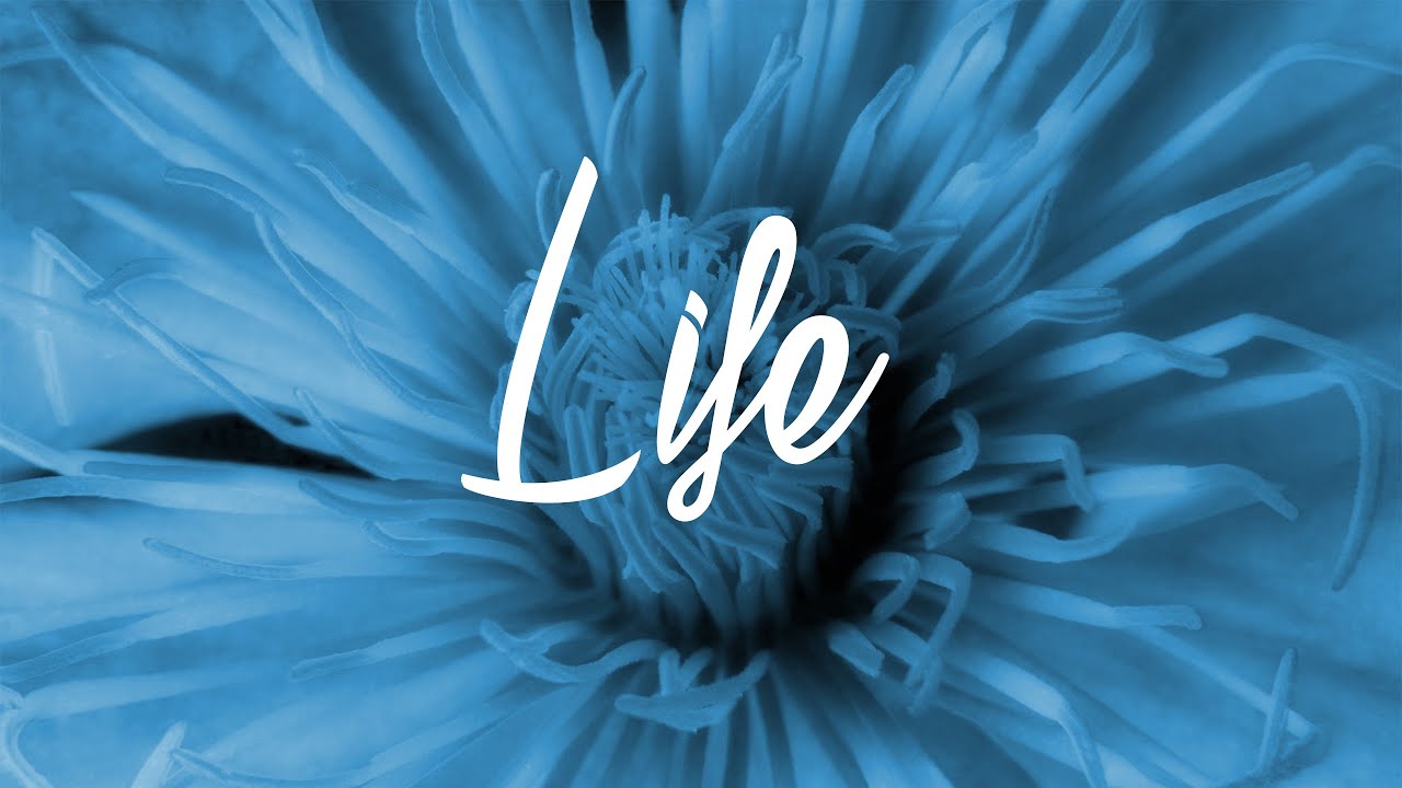 (Free) Lil Reese Type Beat - "Life" | Free Type Beat