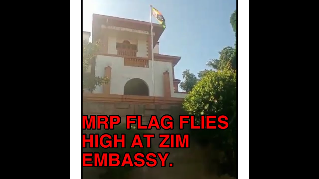 Revolutionary MRP Youth Remove Zim Flag & Replace with MRP Flag