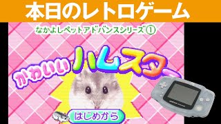 【GBA】本日のゲームはこちら！『なかよしペットアドバンス1 かわいいハムスター』かわいいハムスターと一緒に暮らそう！ screenshot 2