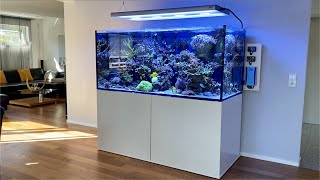 GERMAN REEF TANKS - SPS reef construction - 1300 liters/340 gallon - SALTWATERAQUARIUM #aquarium