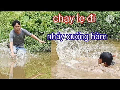 Video 22/thử thách vào rừng câu ếch bị ong đốt không còn... - youtube