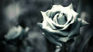 From This Moment Onshania Twain Feat Bryan White