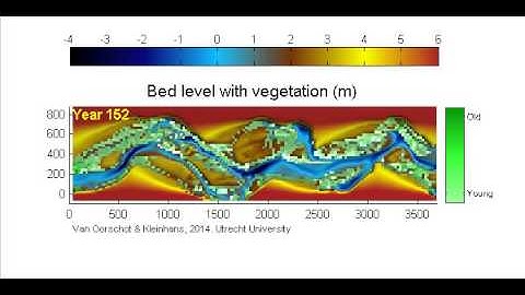 Numerical model of a meandering river with vegetation - year 256
