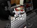 SteamDeckでめっちゃカメレオンがプレイできるか検証してみた。