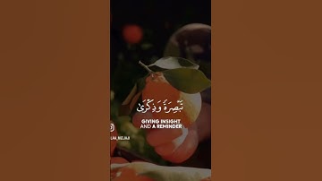 تلاوةعذبة_افلم ينظروالى السماء#اكسبلور#تلاوة_خاشعة#قران_كريم #قرآن#تيك_توك #قرآن_الصباح#تلاوات#تلاوة