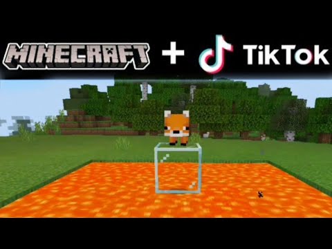 tik-tok-minecraft-compilation!-(funny-videos)-#2