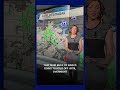 5.27.25 Weather on the Go