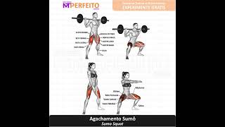 Agachamentos de sumô: quais músculos funcionam?