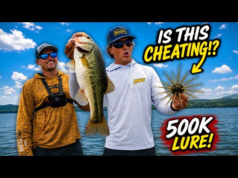 This Bait Feels ILLEGAL… And It Might Win Me $500,000