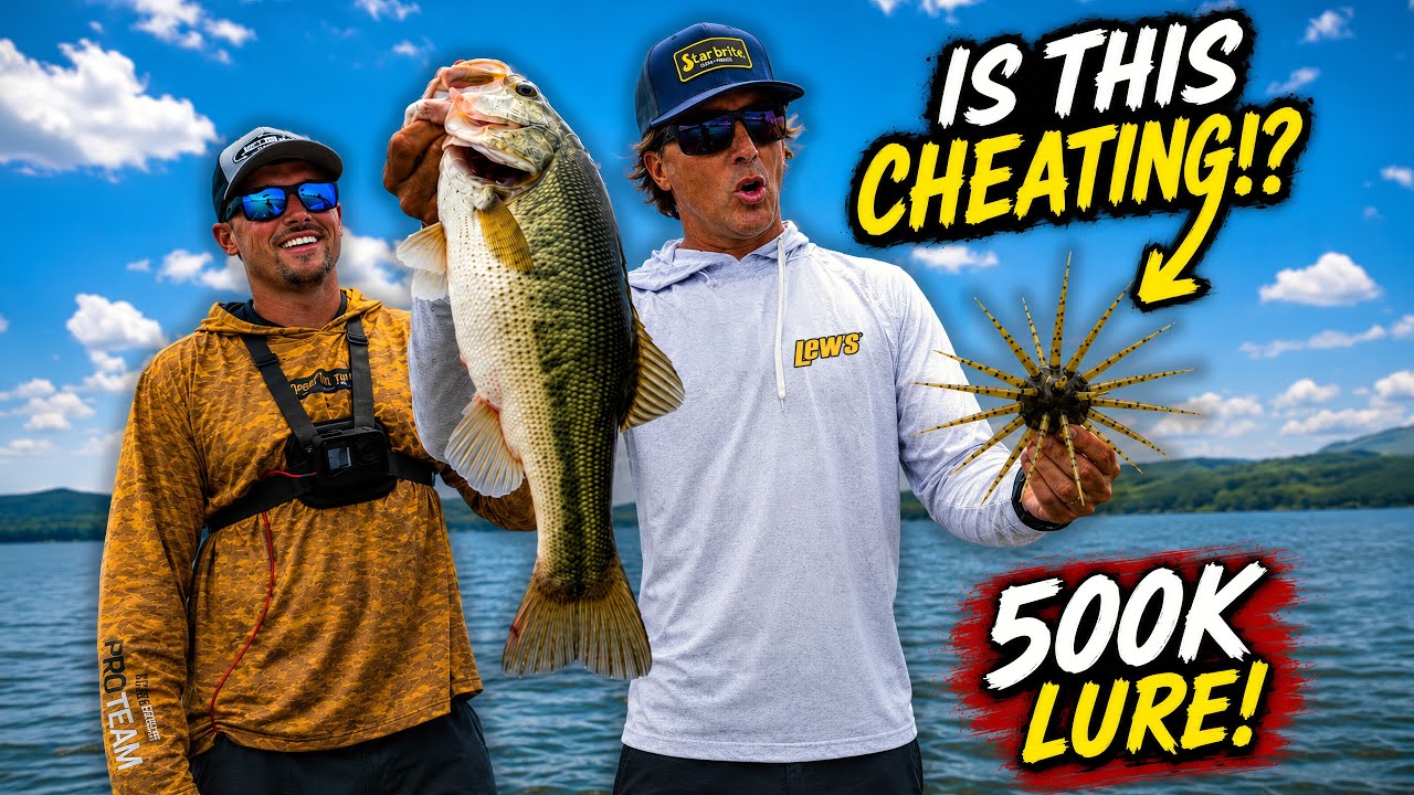 This Bait Feels ILLEGAL… And It Might Win Me $500,000