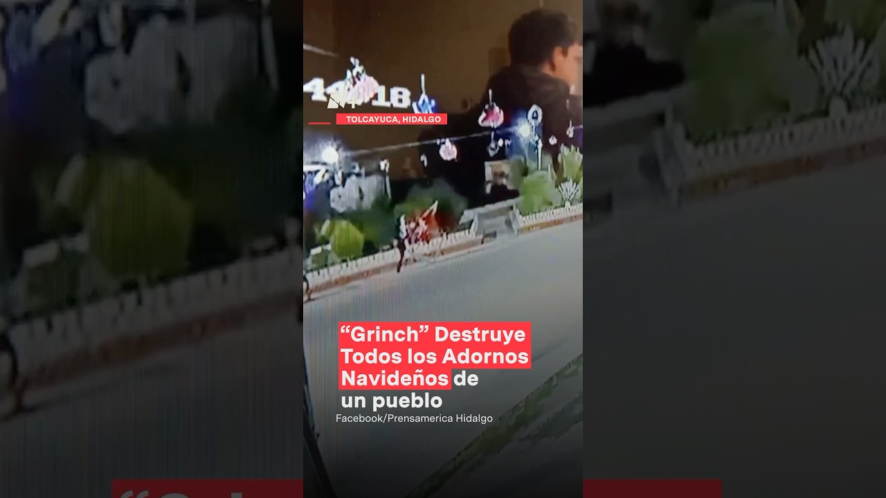 El “Grinch” de Tolcayuca destruye adornos navideños por media hora - N+