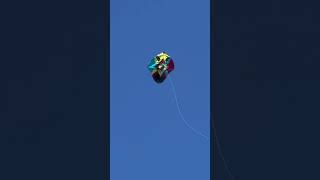 kite check kro kasy uad raha like and Subscribe #kite #basant2026 #kiteflying #foryou #viral #shorts