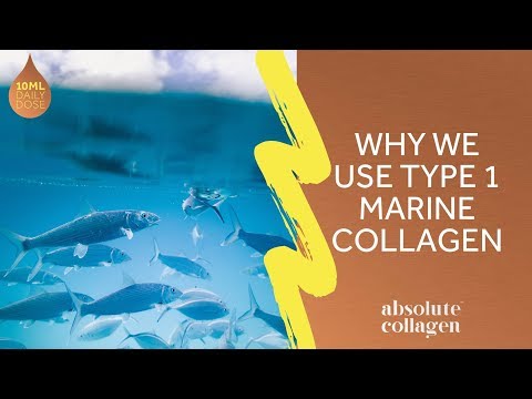 Why We Use