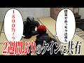 【面白まとめ】2週間ぶりのケインに近況を報告する音鳴【ととみっくす/音鳴/868/切り抜き】