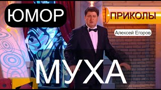 ШУТКА НА МИНУТКУ 😁🤣😄 ЮМОРИСТ АЛЕКСЕЙ ЕГОРОВ 😎😍 "МУХА" [ФРАГМЕНТ КОНЦЕРТА] ЮМОР THE BEST 🎁💋✨