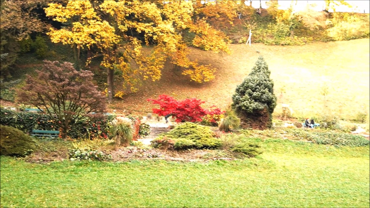 Autumn in Linz | Travel