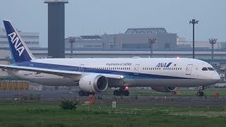 全日空商事　ANA Boeing 787-10 JA900A SQ Wings L2036 Boeing 787-10 Dreamliner ANA All Nippon Airways JA