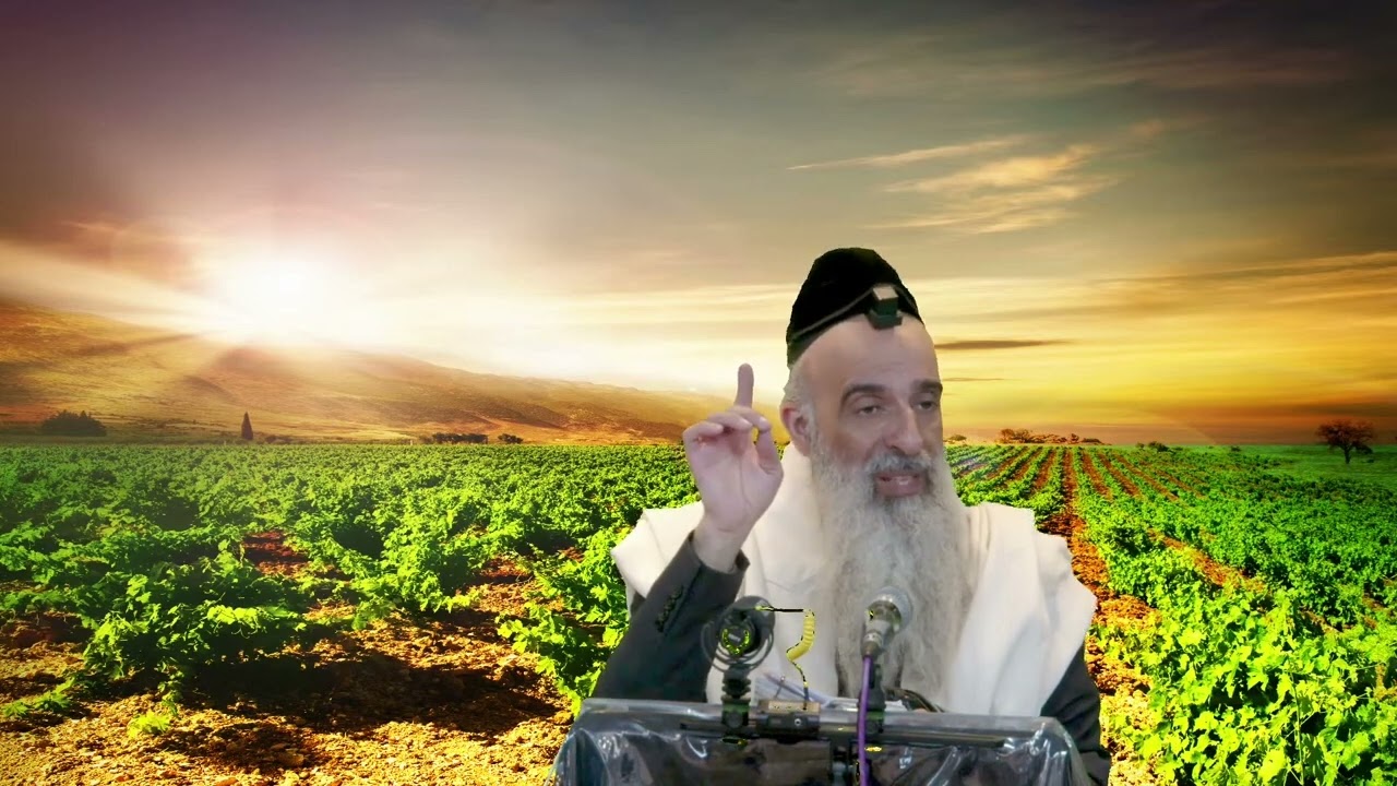 הרב מאיר דוד שמואלי - עצה וסגולה לאריכות ימים
