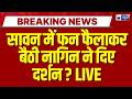 Cobra Viral Video: सावन में घर पहुंचा कोबरा, परिवार ने की नाग देवता की पूजा | Breaking | Sawan 2026