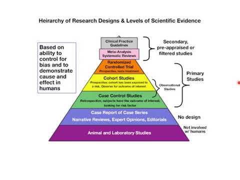 Level of evidence. Level of evidence. Study ge уровни. Level of study. Education level какие бывают.