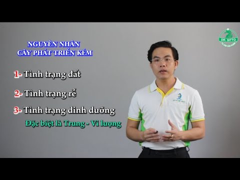 Video: Lý do Và Cách khắc phục Đối với Lá Bí vàng