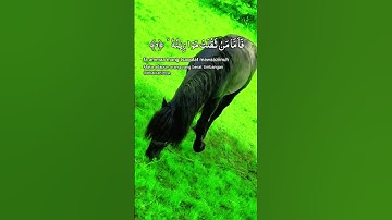 سورة القارعة #قران_كريم #اكسبلور #الرحمن #music #دويتو #المصحف #duet #المراه #راحة_نفسية #اعتني