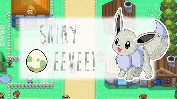 Masuda Shiny Eevee Hatches! 160 Eggs Total!