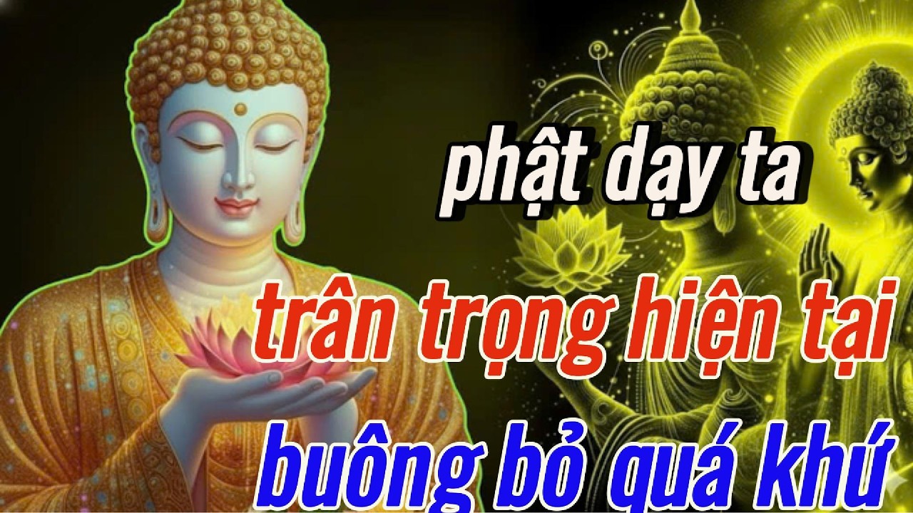 Phật Dạy: Trân Trọng Hiện Tại – Buông Bỏ Quá Khứ Để Bình An