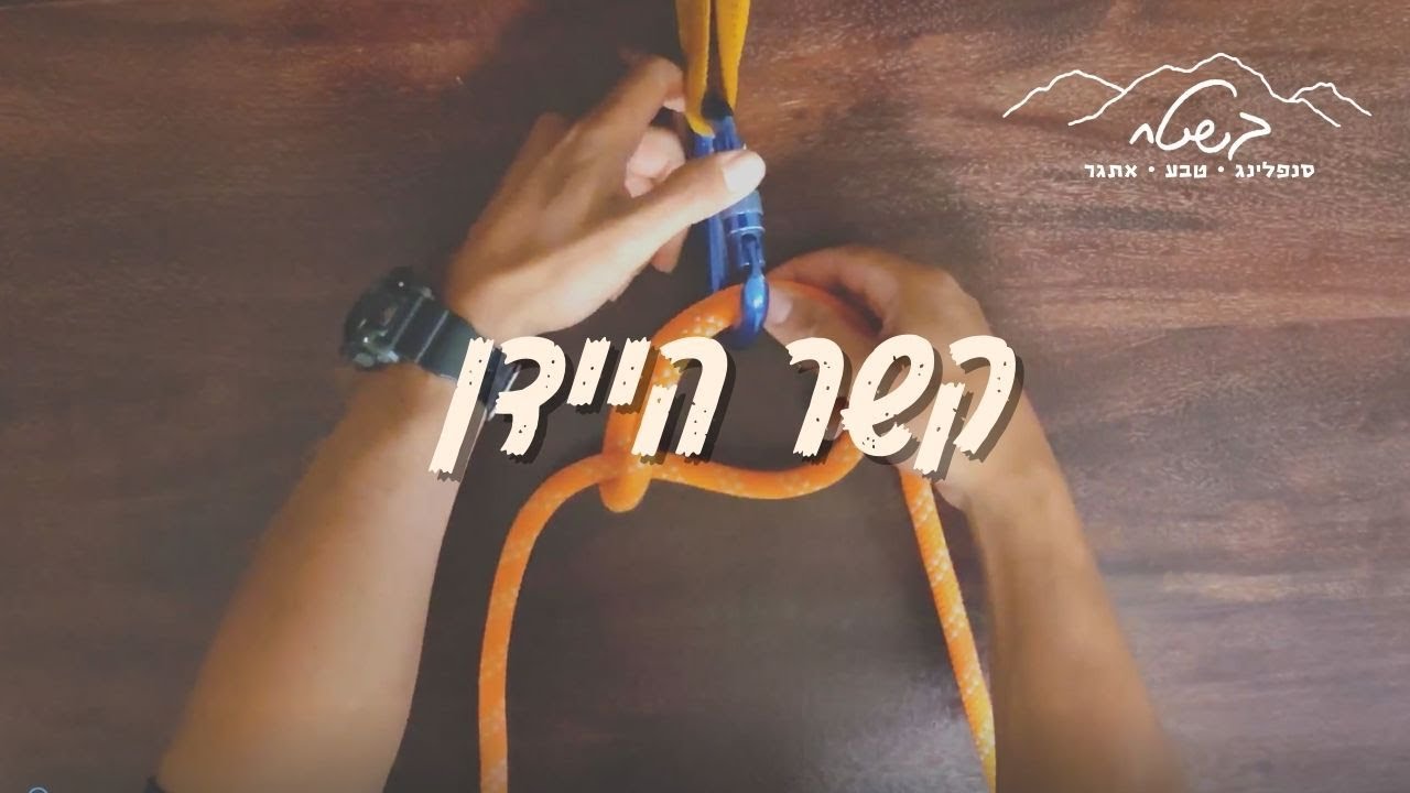 קשר היידן | Haydn knot