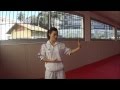 Heian nidan  karate training sonia fiuza