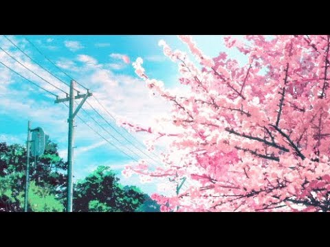 Chill | Relaxing | Lush | Lofi Hip Hop | 24/7 Moniz Radio