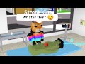 Dr stronk cat found this in roblox brookhaven rp