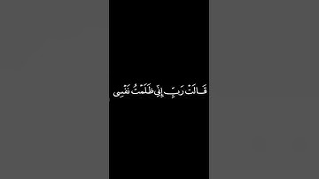 قالت رب إني ظلمت نفسي#ياسر_الدوسري #قران_شاشة_سوداء من سورة النمل