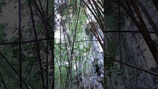 Download Lagu Gua Batu Cermin Labuan Bajo NTY #love #viral #shorts #reels MP3