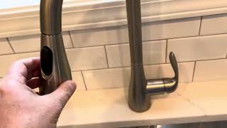 Moen Kitchen Faucet First Impression Review