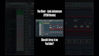 Should I Drop This Remix?